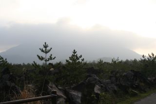 sakurajima 早朝.jpg